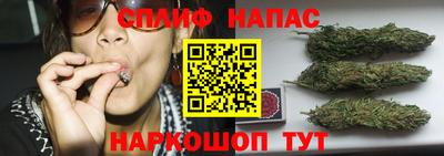 индика Краснодар