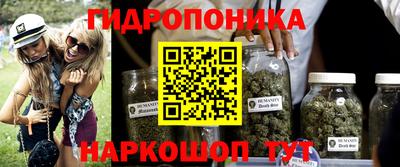индика Краснодар