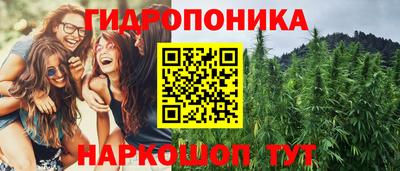 амф Краснознаменск