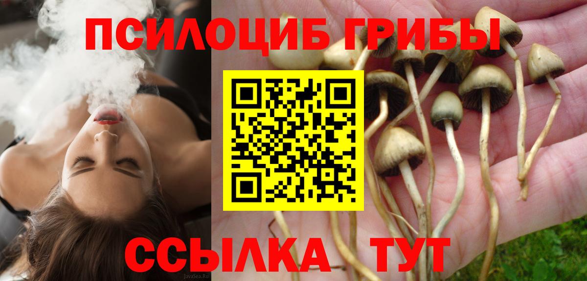 продажа наркотиков  Галлюциногенные грибы Cubensis  Вход с VPN  Вятские Поляны 